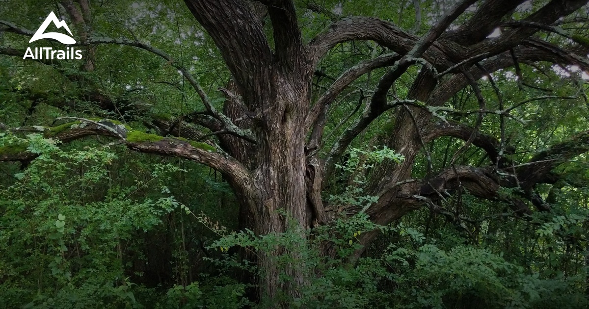 2023 Bästa lederna i Dupree Park Nature Center AllTrails