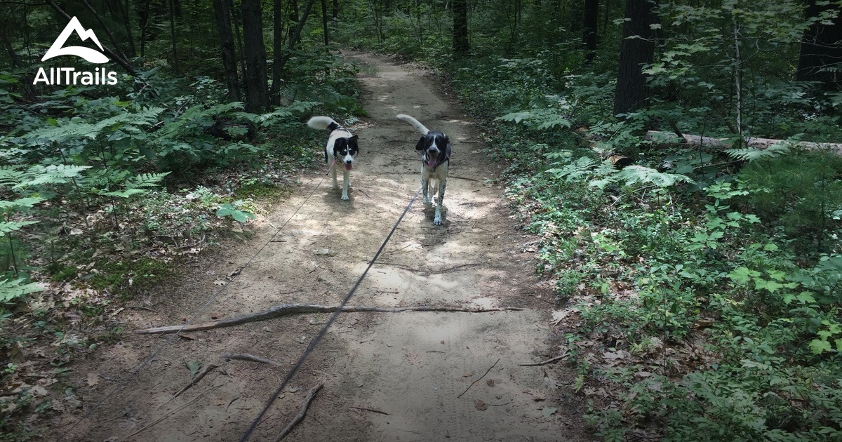 Best Trails in Kennebunkport Conservation Trust Maine AllTrails