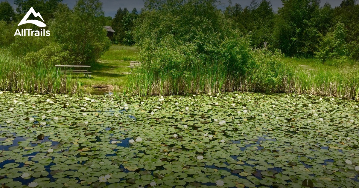 Best Trails in Silver Creek Conservation Area - Ontario, Canada | AllTrails