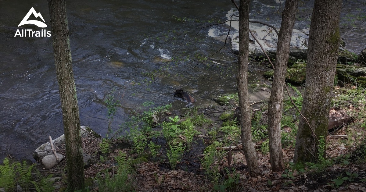 Best Hikes and Trails in Roxbury Land Trust AllTrails