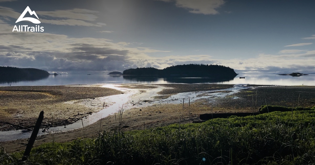 Quatsino Provincial Forest Die besten Routen zum Wandern AllTrails