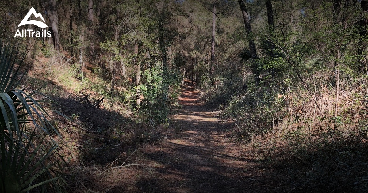 Best hikes and trails in Whispering Pines Park AllTrails