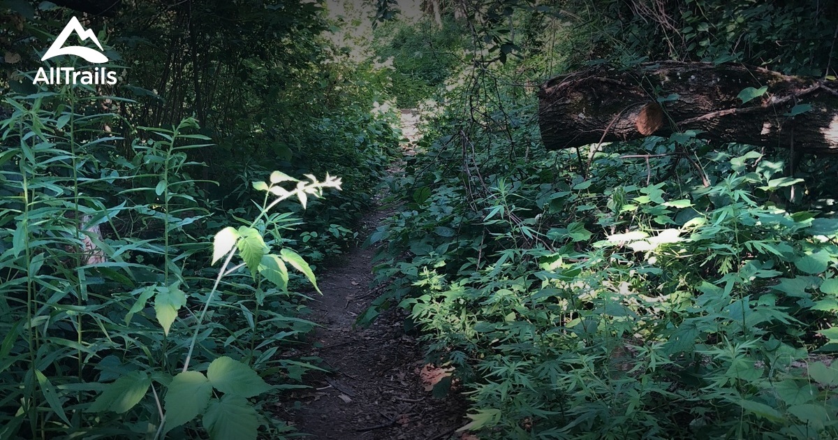 Best Trails in Welwyn Preserve County Park New York AllTrails