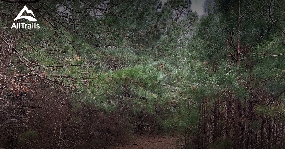 Best Hikes and Trails in Cape May National Wildlife Refuge | AllTrails