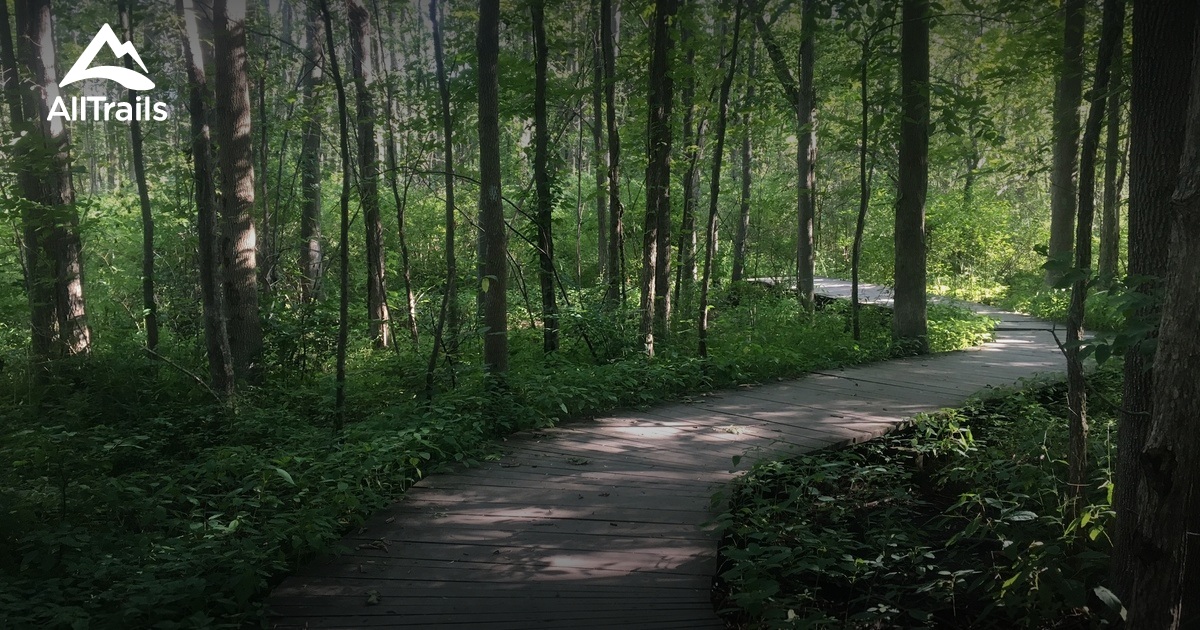 Best Hikes and Trails in Asbury Woods AllTrails