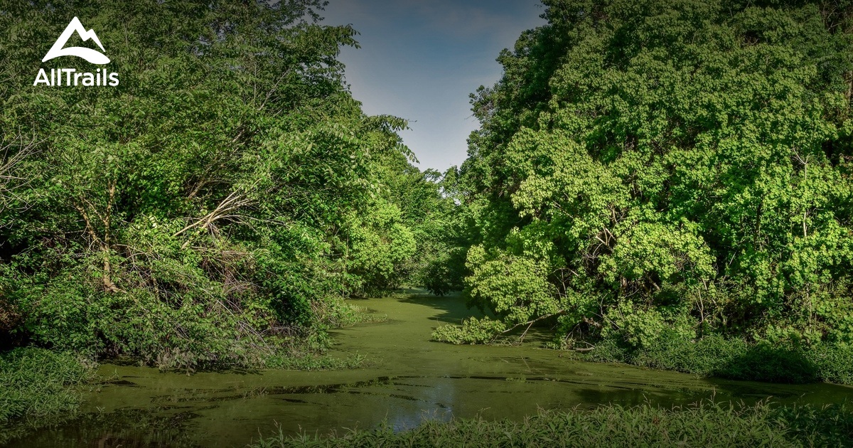 Best Hikes and Trails in Woodlands Trail and Park AllTrails