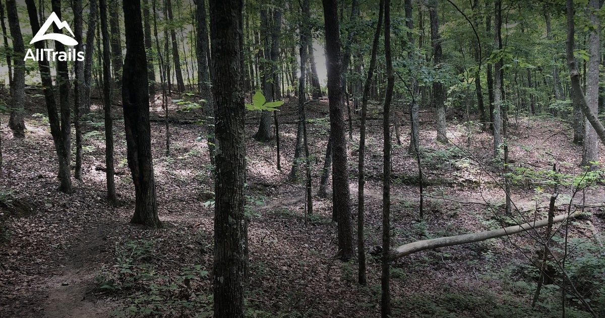 Best Hikes and Trails in Garland Mountain Horse and Hiking Trails