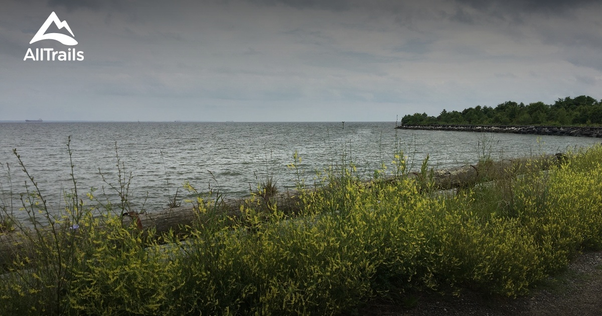 Best hikes and trails in Greenbury Point Conservation Area | AllTrails