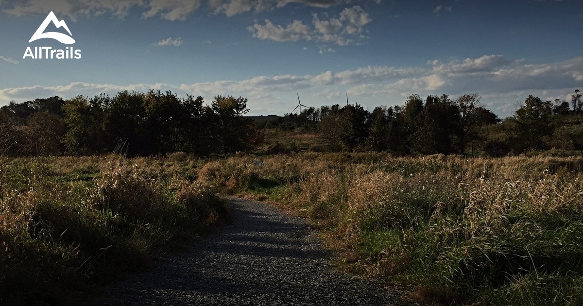 Best hikes and trails in Chestnut Grove Natural Area | AllTrails