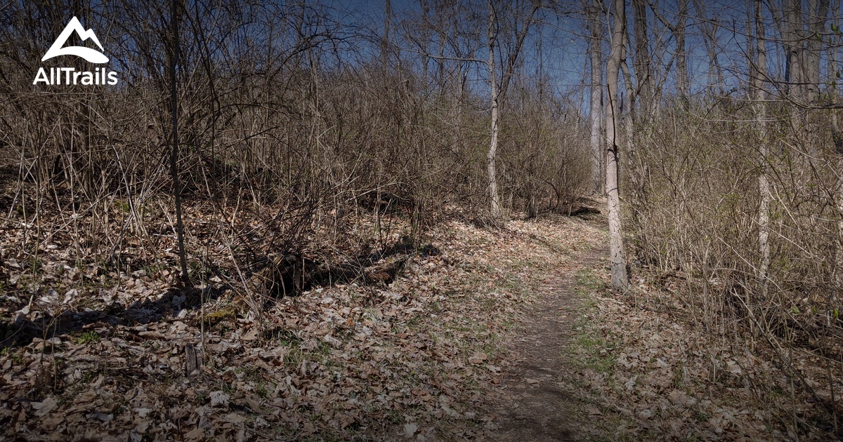 Best Hikes and Trails in Bicentennial Park AllTrails