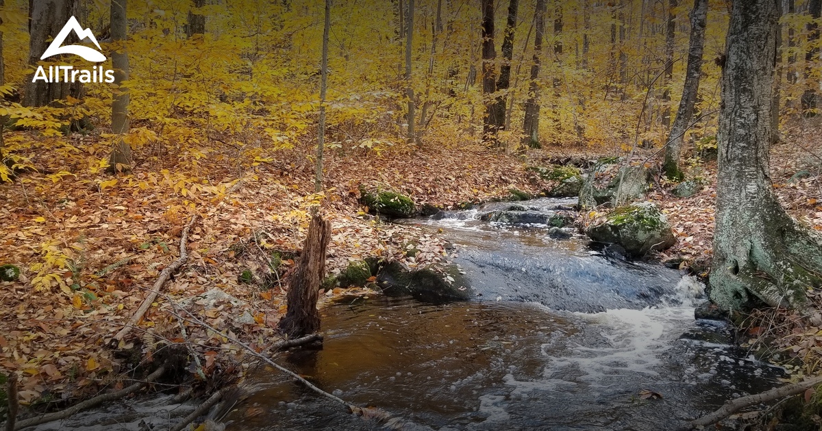 Escape To Serenity: Exploring The Hidden Gem Of Bishops Swamp Wildlife Refuge