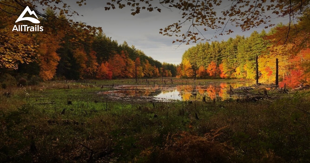 10 Best Wildlife Trails in Beaver Brook Association AllTrails