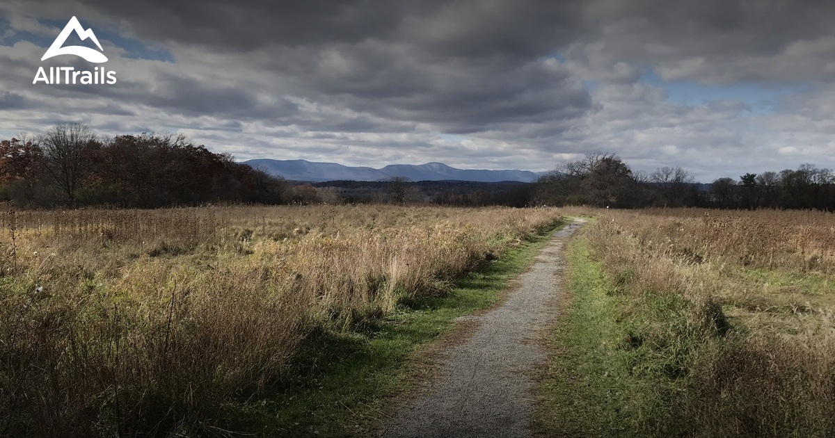 Best Hikes and Trails in Greenport Conservation Area AllTrails