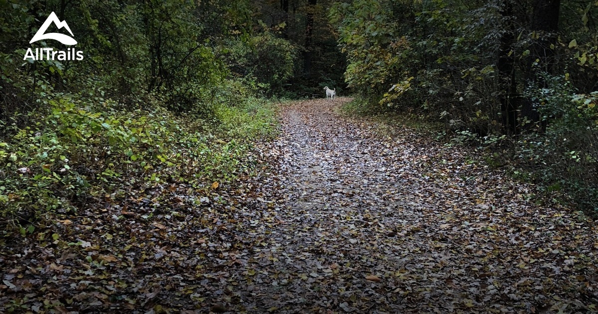 Best Trails in W.K. Kellogg Experimental Forest Michigan AllTrails