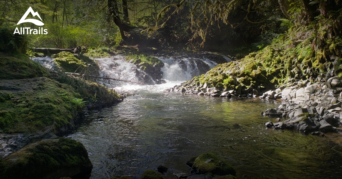 10 Best Hikes and Trails in Kennedy Creek Natural Area Preserve AllTrails