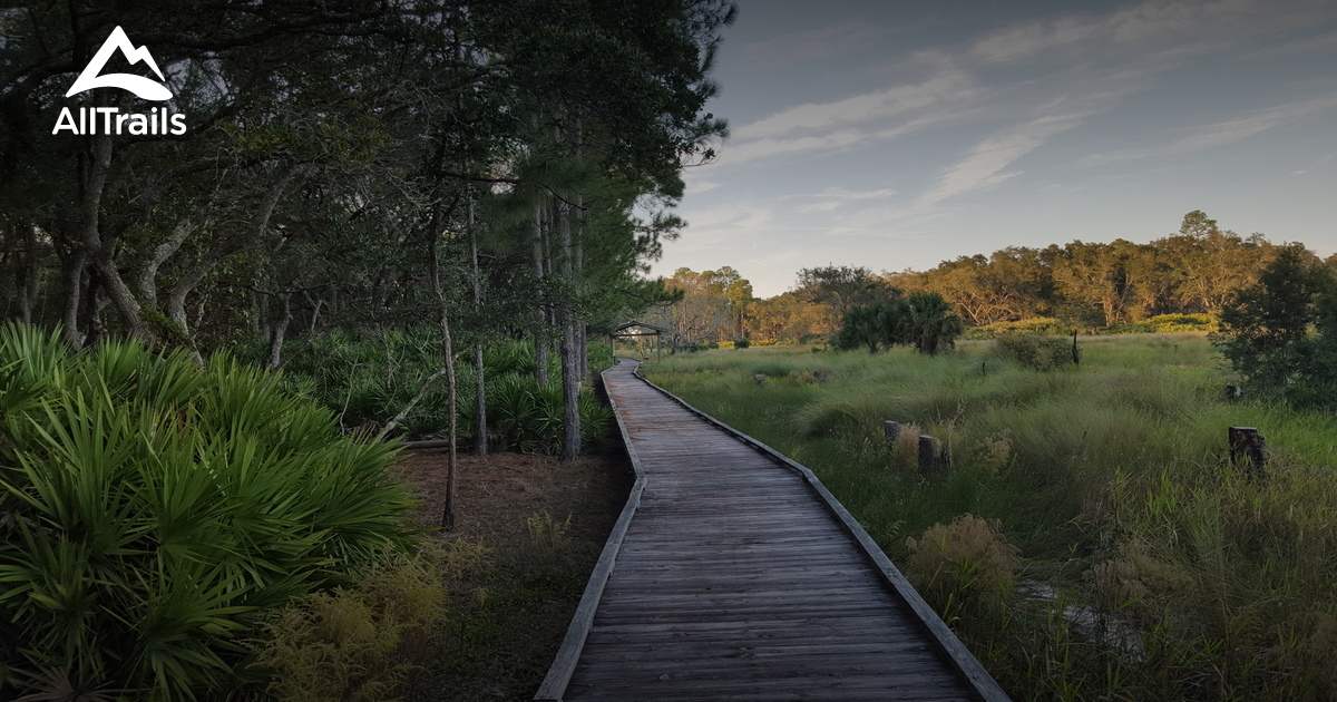 Best hikes and trails in Guana Tolomato Matanzas National Estuarine