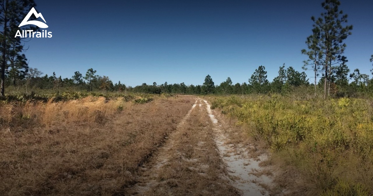 Econ River Wilderness Area de beste routes om te wandelen AllTrails