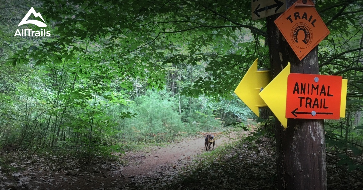 Best Hikes and Trails in Pitch Pine Bog Conservation Area AllTrails