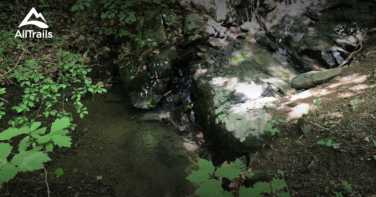 Best Hikes and Trails in Antrim Township Park AllTrails