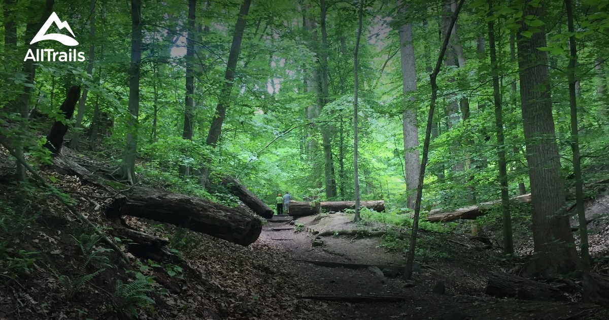 Potomac Overlook Trail Map Best 10 Trails In Potomac Overlook Regional Park | Alltrails