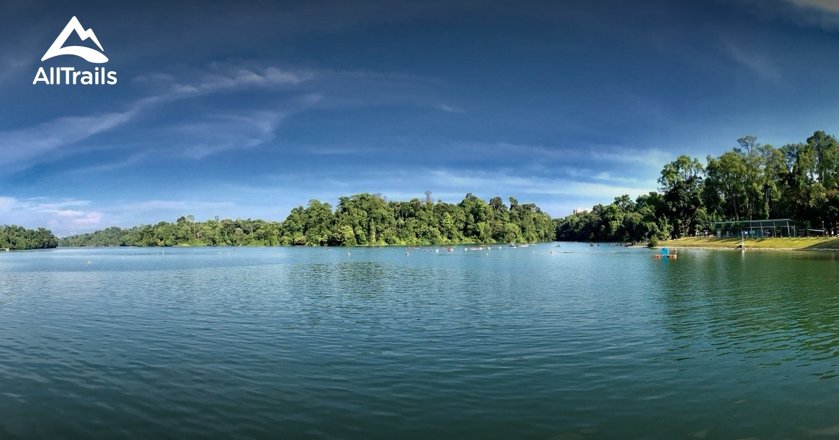 Best hikes and trails in MacRitchie Reservoir Park AllTrails