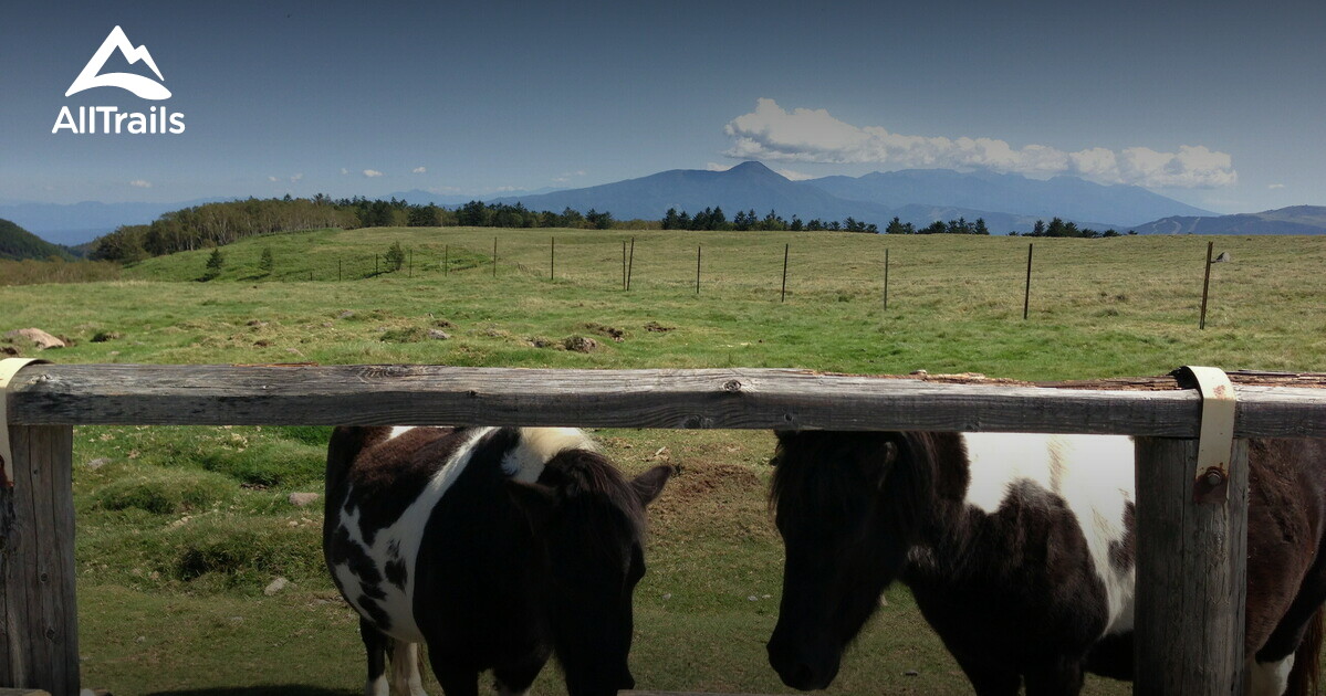 10 Best hikes and trails in Yatsugatake Chushin Kogen QuasiNational
