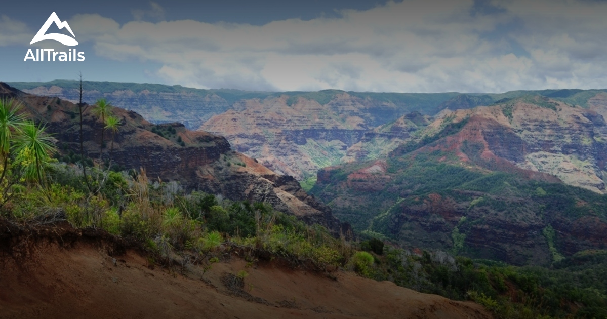 Best Trails in Waimea Canyon State Park Kauai, Hawaii AllTrails