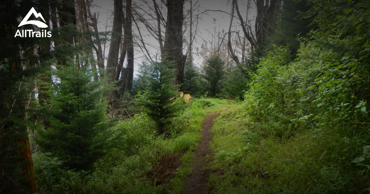 Best Trails In Polipoli Spring State Recreation Area Maui Hawaii Alltrails