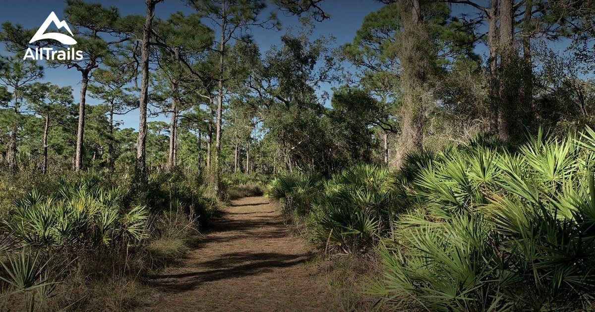 Best Trails in Curry Creek Preserve Florida AllTrails