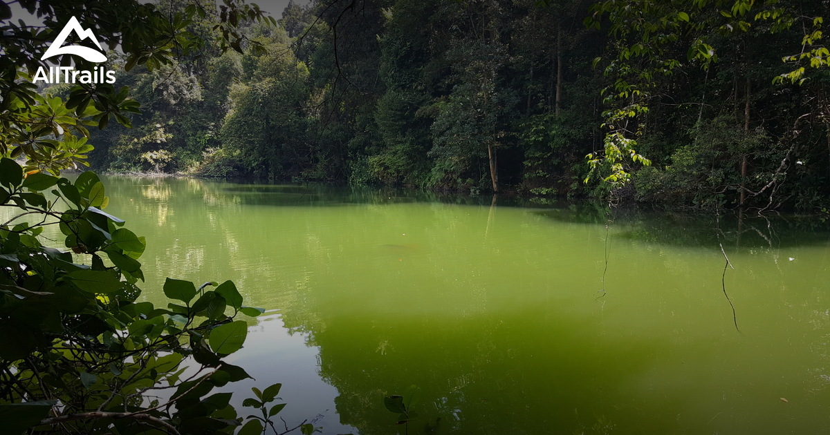 Best Trails in Chestnut Nature Park North East