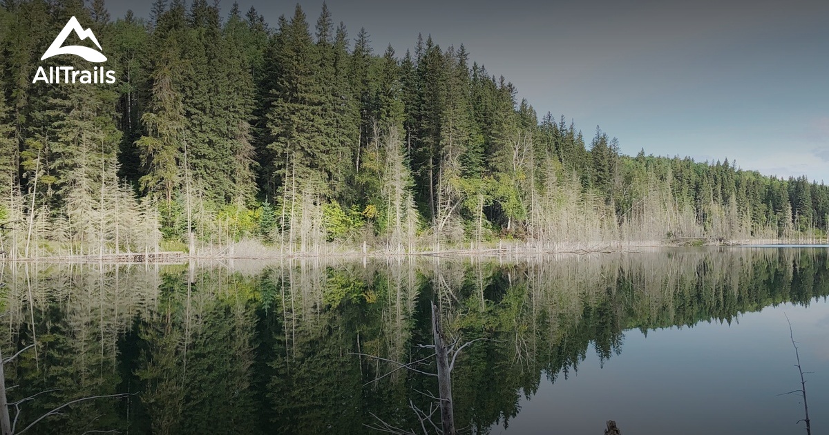 10 Best Hikes and Trails in Duck Mountain Provincial Park AllTrails
