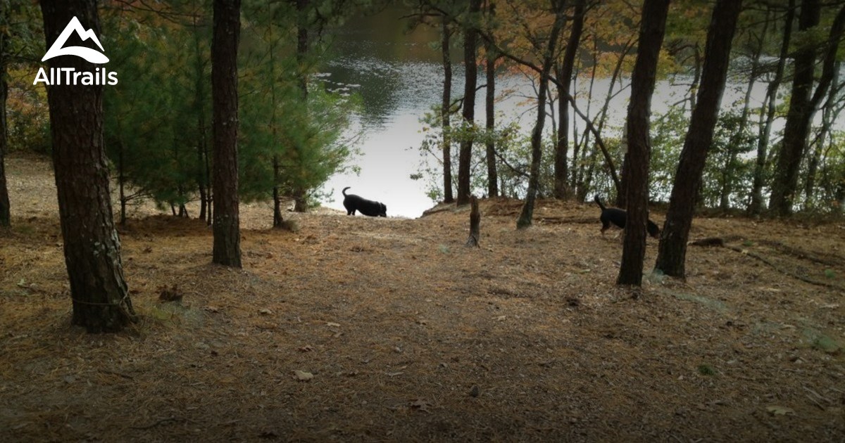 Best Hikes and Trails in Eagle Pond Sanctuary AllTrails