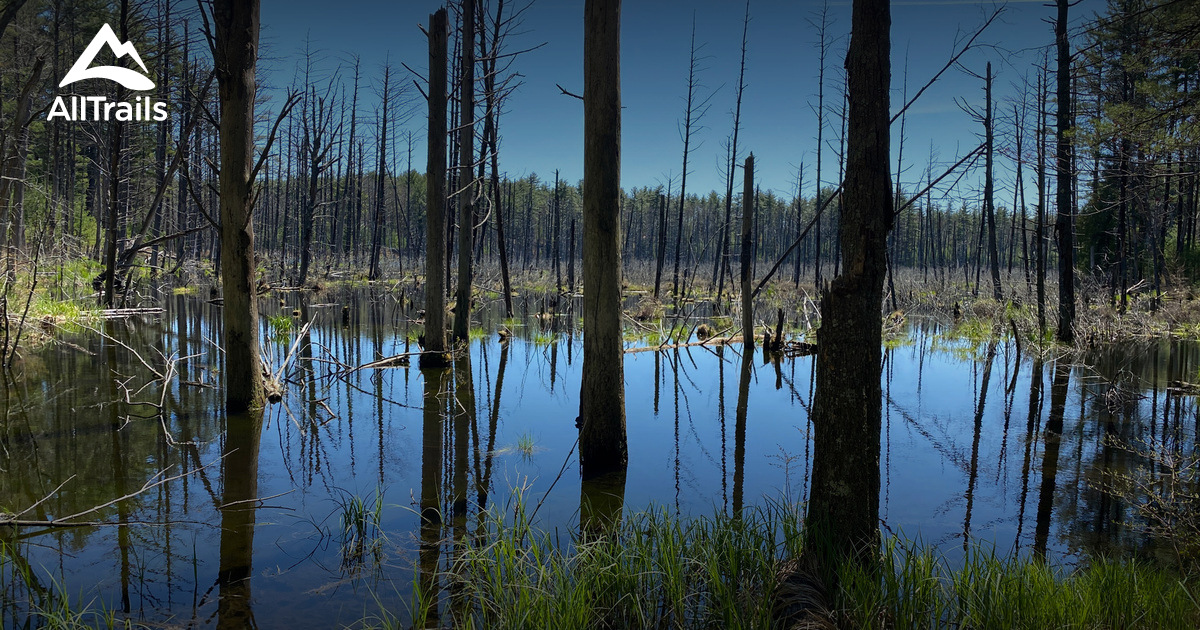 10 Best Hikes and Trails in Musquash Conservation Area AllTrails