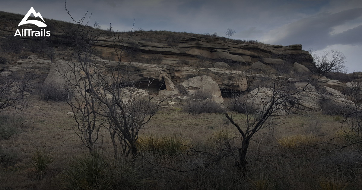 Best trails in Wildcat Bluff Nature Center, Texas | AllTrails