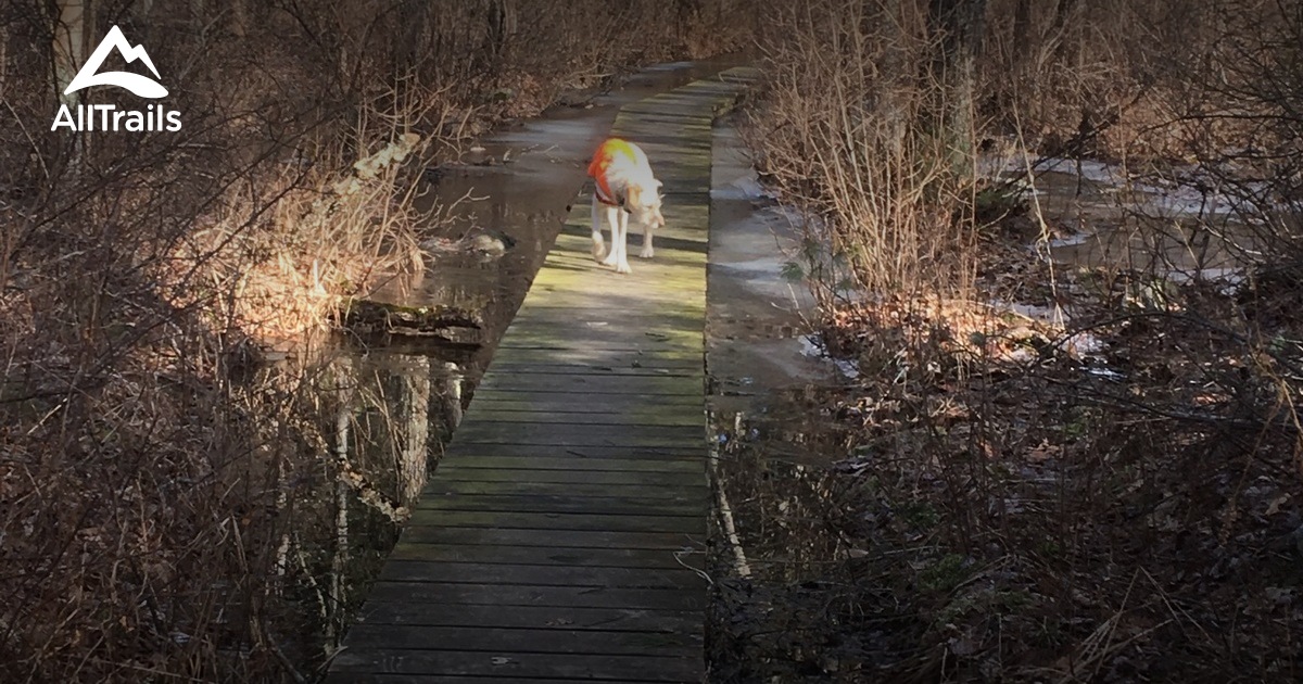 Best trails in Great Woods Conservation Area, Massachusetts AllTrails