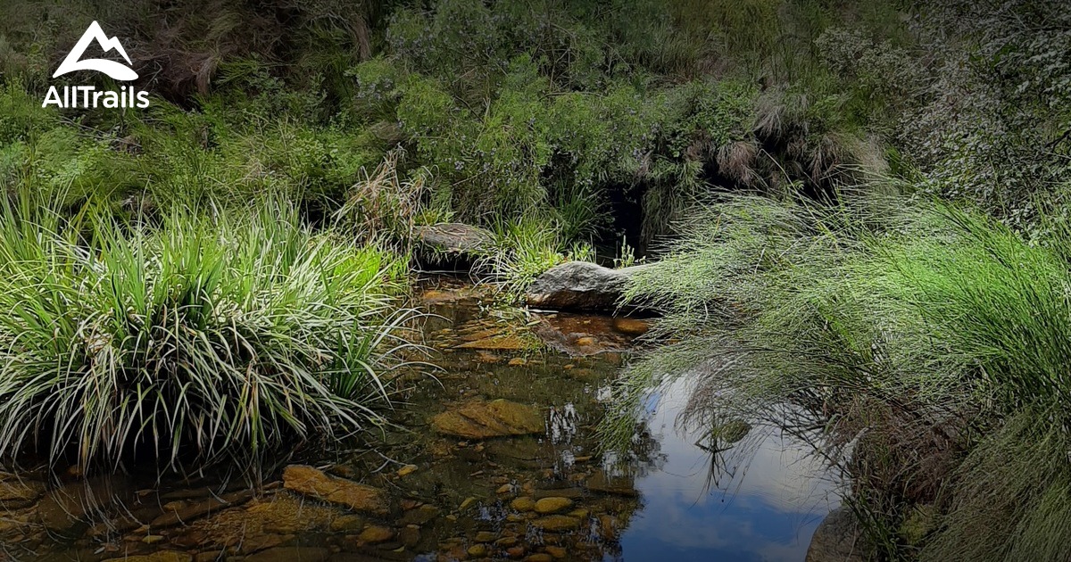 10 Best Hikes And Trails In Garden Route National Park | AllTrails