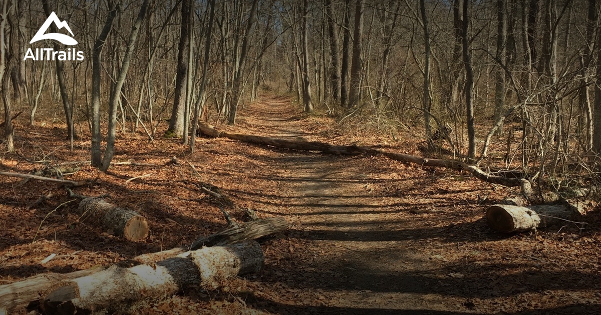Best Trails in Long Island Pine Barrens New York AllTrails