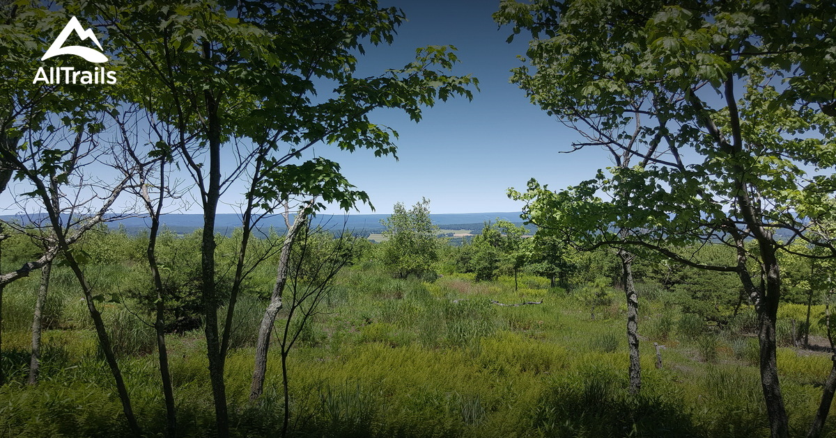 Best Trails in South Mountain Preserve Pennsylvania AllTrails