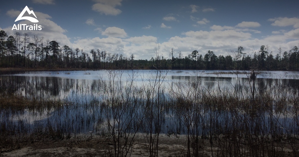 Best Trails In Jay B. Starkey Wilderness Park - Florida | AllTrails