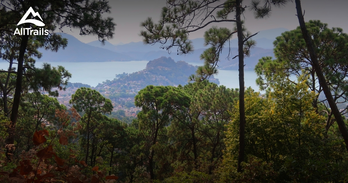 10 Best Hikes and Trails in Reserva Estatal Monte Alto AllTrails