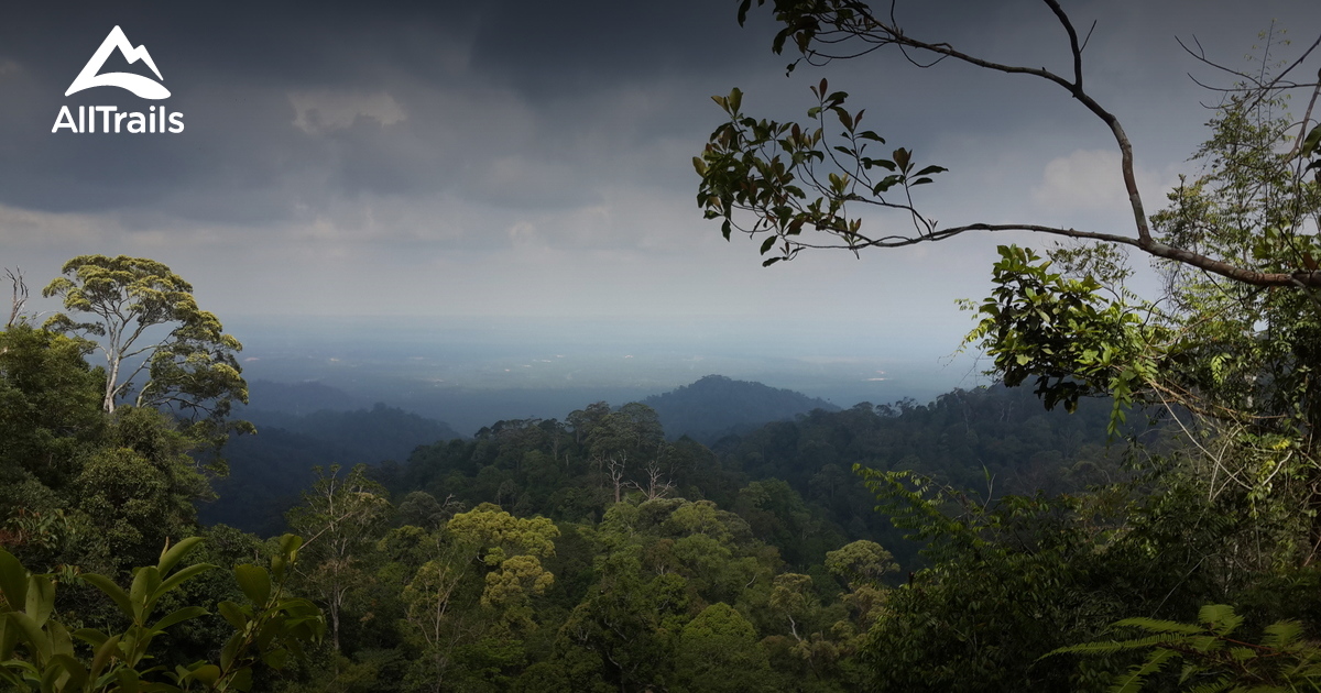 Best Trails In Gunung Pulai Recreational Forest Johor Malaysia Alltrails