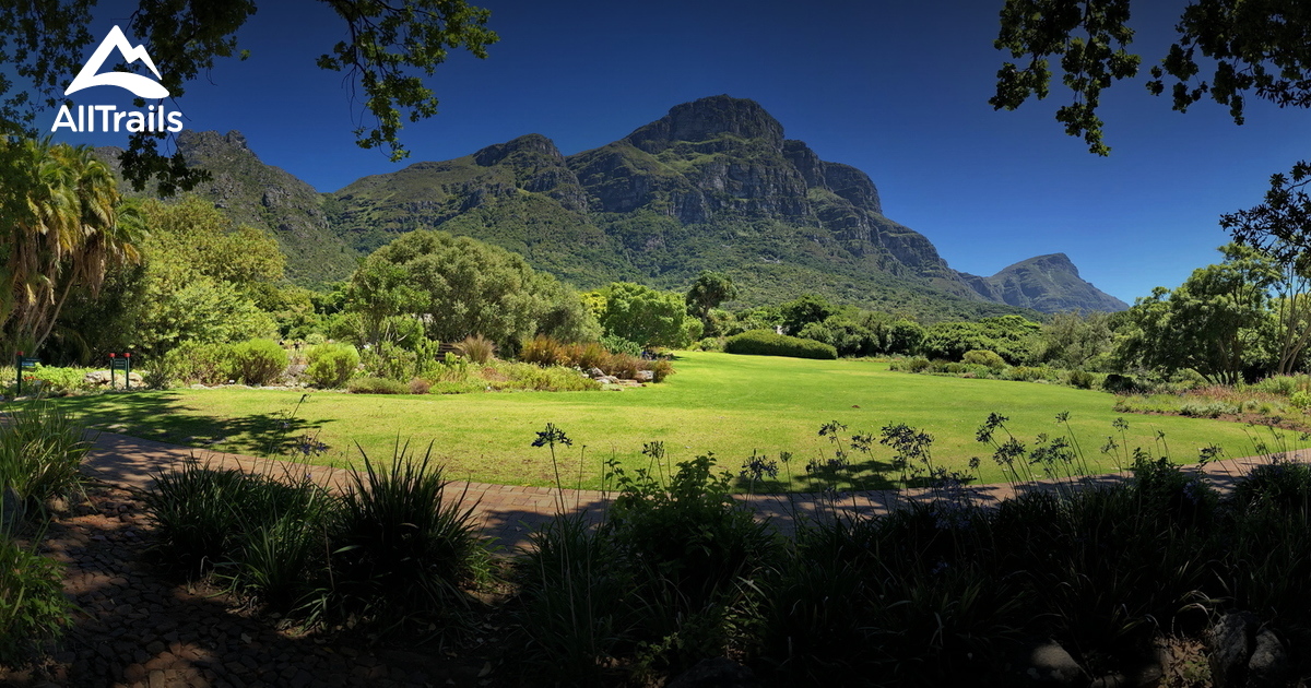 Best Trails in Kirstenbosch Botanical Gardens Western Cape, South