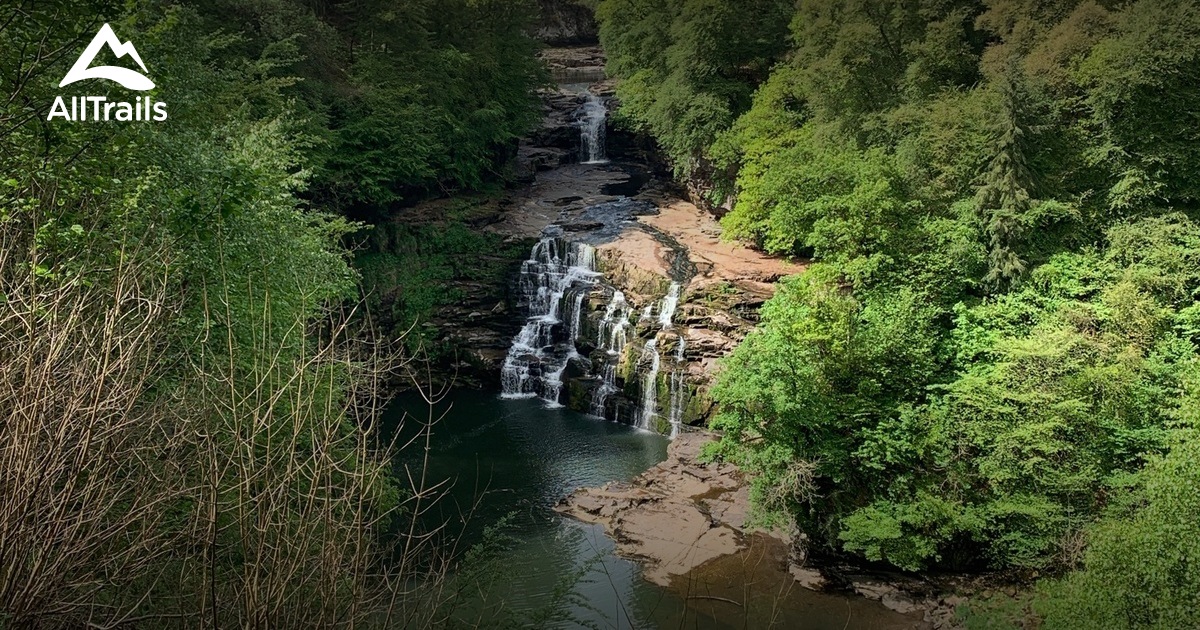 Best Trails in Clyde Valley Woodlands National Nature Reserve South