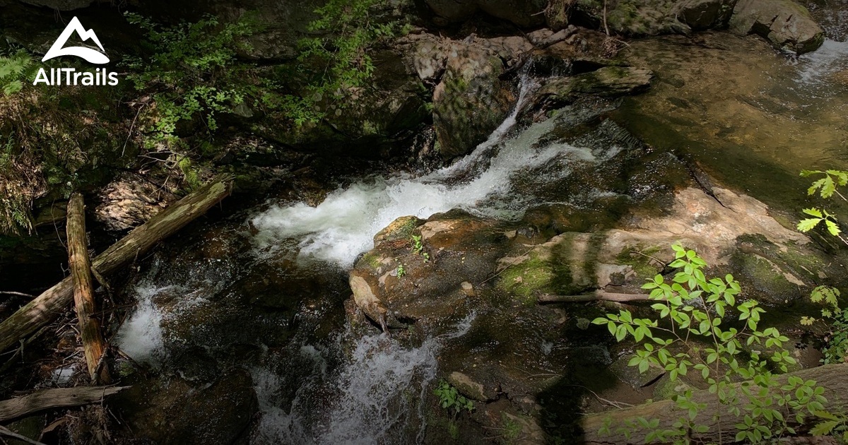 Beste wandelingen en routes in Emily Griffith Beardsley Preserve