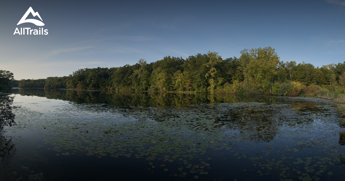 Best hikes and trails in Bald Mountain State Recreation Area