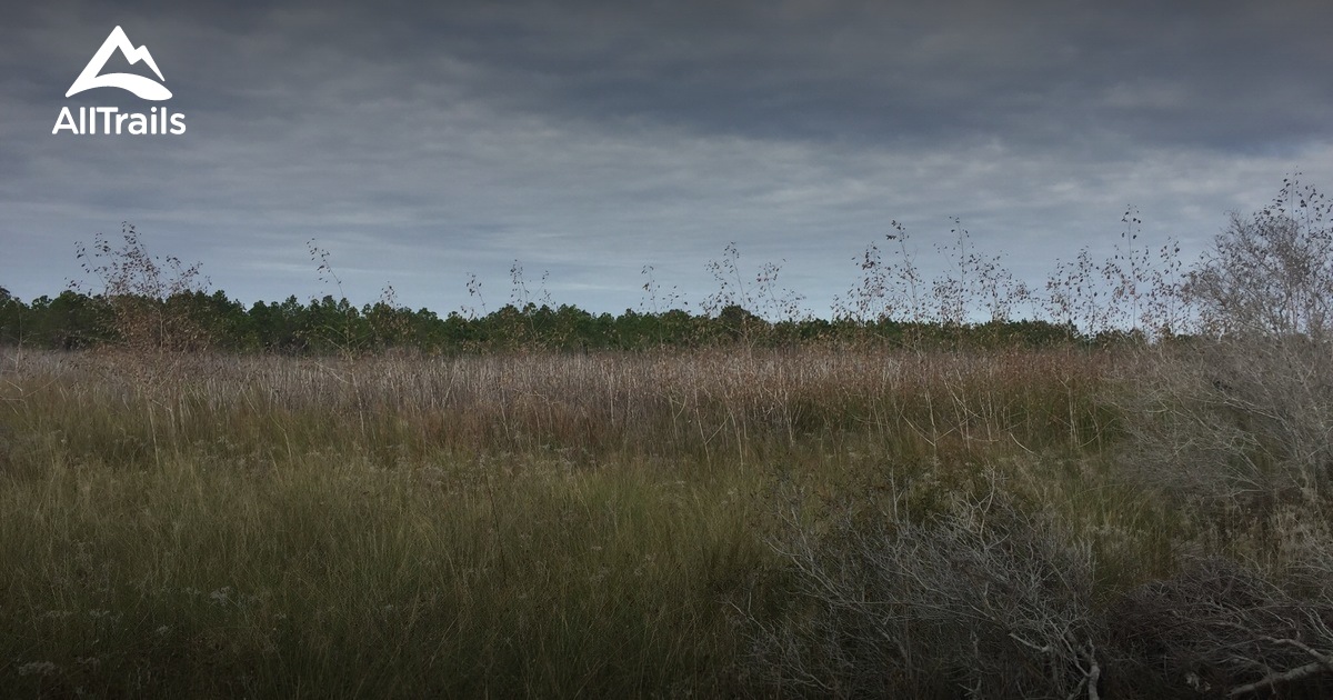 Best Hikes and Trails in Apalachicola National Estuarine Research Reserve AllTrails