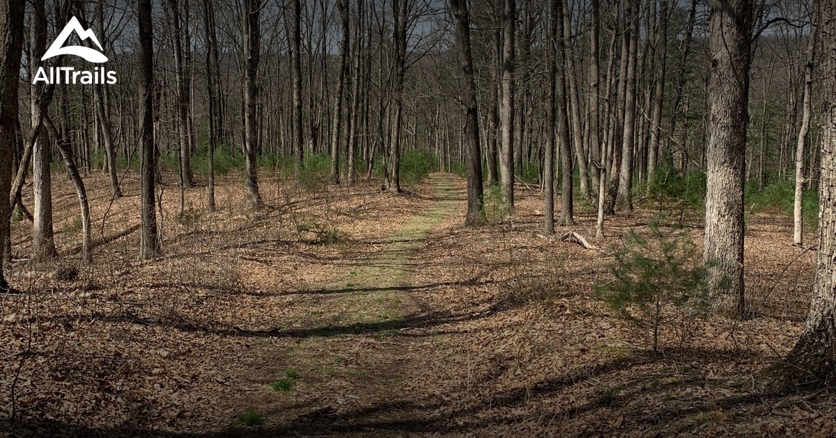 Escape to the Wilderness: Maryland's Hidden Gem, Woodmont Natural Resources Management Area