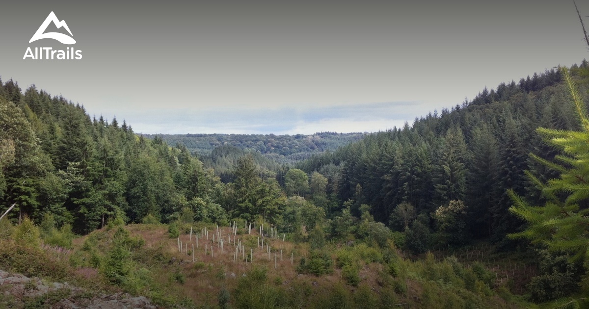 forest of dean bike trails map