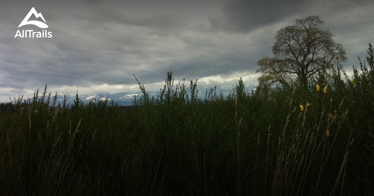 Best Trails in Lazo Marsh North East Comox Conservation Area British