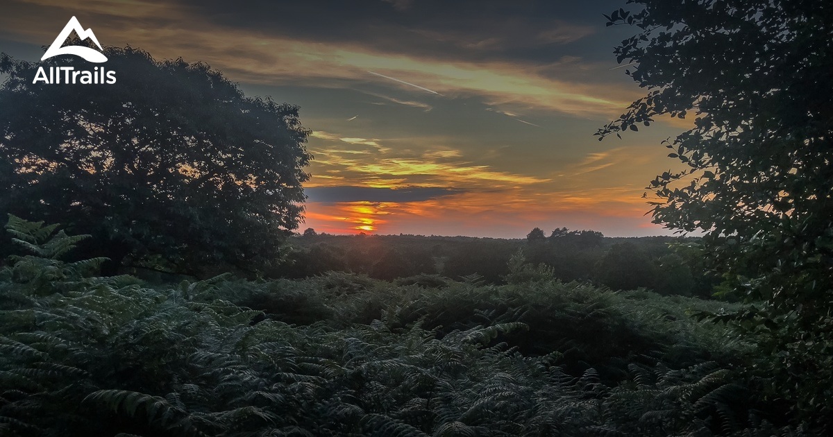 Best Trails in Bracknell Forest Berkshire, England AllTrails